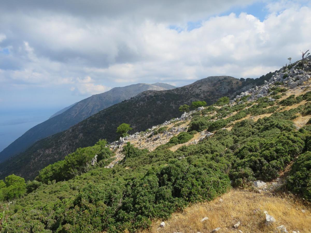 Villa Fotini Sami  Esterno foto